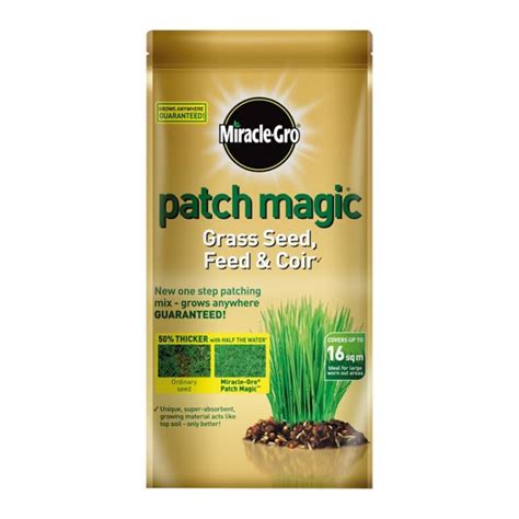 The Science Behind Magic Grass Seed: Creating the Lawn of Your Dreams